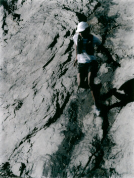 Adel Debabeche